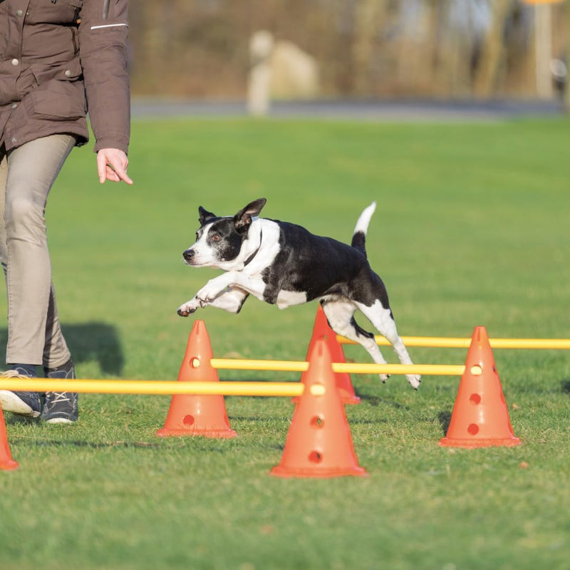 Trixie 32091 Dog Activity Hindernisse, 3 St., ø 23 × 30 cm/78 cm, orange/gelb, 3 St., ø 23 × 30 cm/7