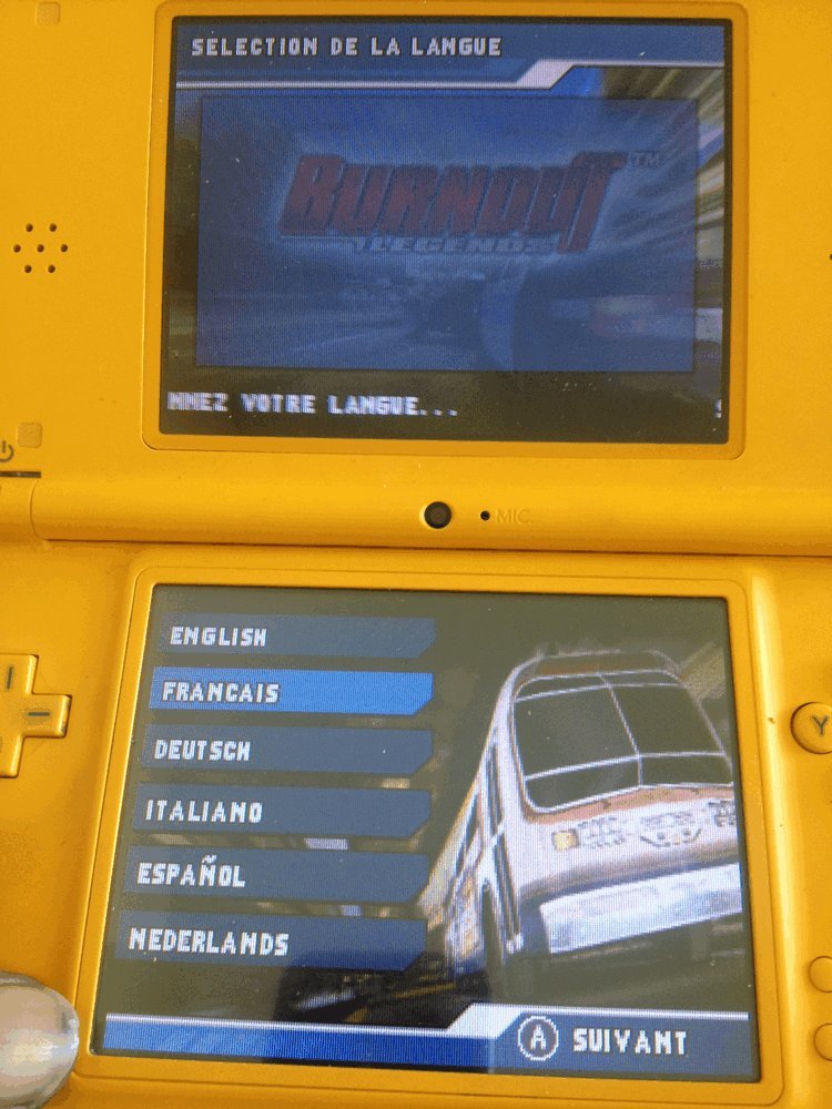 Burnout: Legends Nintendo DS Standard, Nintendo DS Standard
