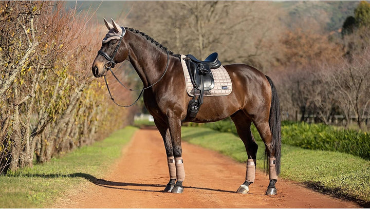 LeMieux Polo Bandagen Rhone Prosecco HW/22, L