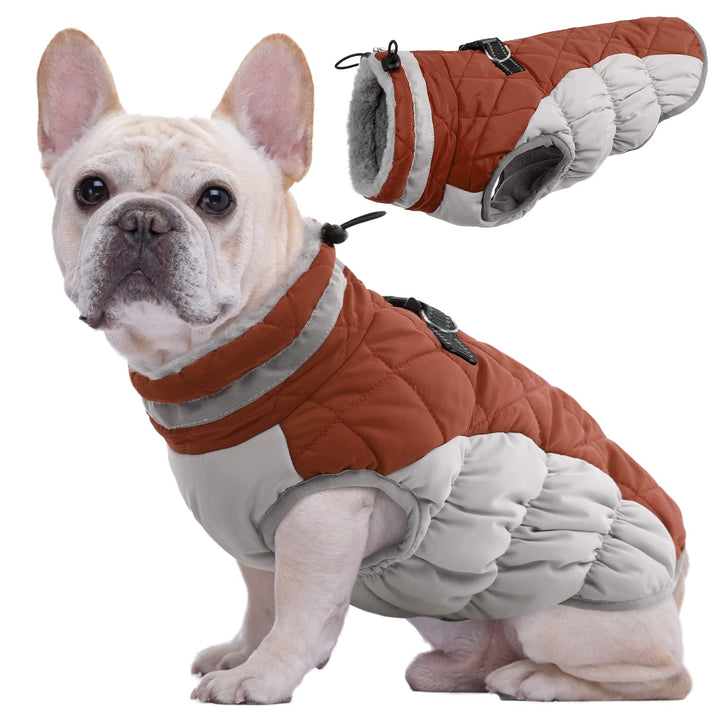 Kuoser Hundejacke Wintermantel für Mittelgrosse Hunde - Wasserdichte Winterweste Mit Geschirr - Warm