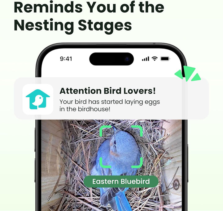 Birdfy Vogelhaus mit Kamera,Nistkasten mit Kamera, 2 Millionen Pixel Outdoor-Vogelhaus-Kamera, Echtz