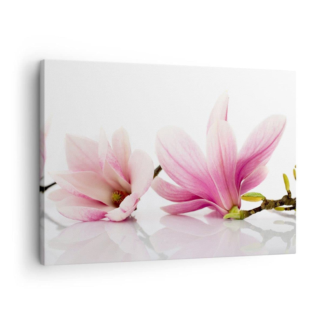 Bilder auf Leinwand Magnolie blume natur pflanze Leinwandbild 70x50cm Wandbilder Dekoration Wohnzimm