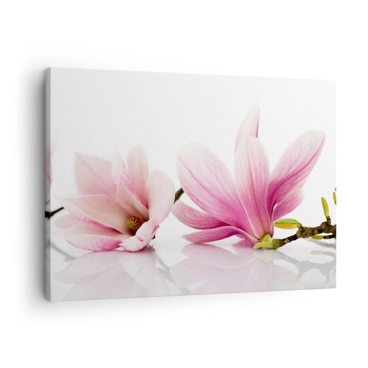 Bilder auf Leinwand Magnolie blume natur pflanze Leinwandbild 70x50cm Wandbilder Dekoration Wohnzimm