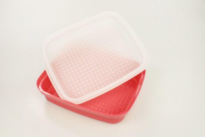 Tupperware Kühlschrank 1,9 L erdbeerrot Grillprofi Grillen Marinieren Behälter 34630
