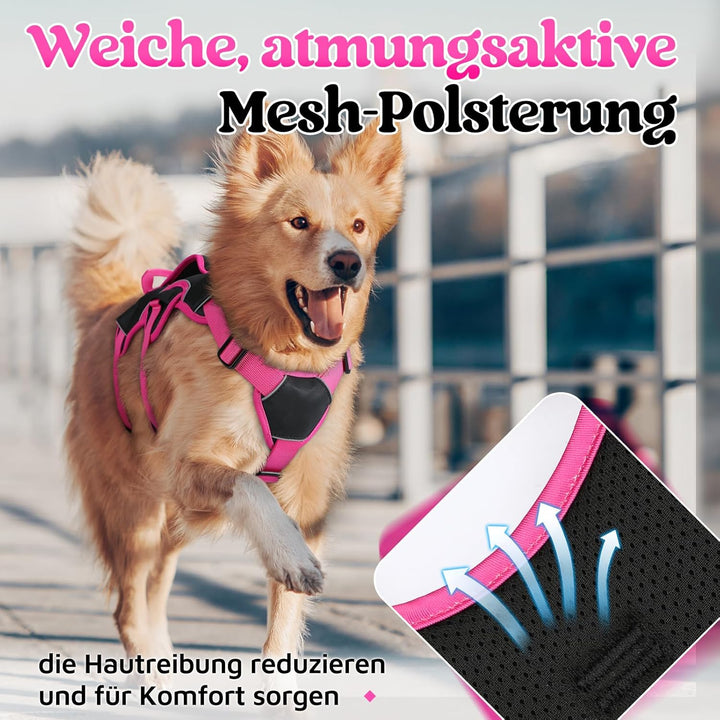 rabbitgoo Ausbruchsicheres Hundegeschirr Grosse Hunde mit Griff, Anti Zug Sicherheitsgeschirr Hund A
