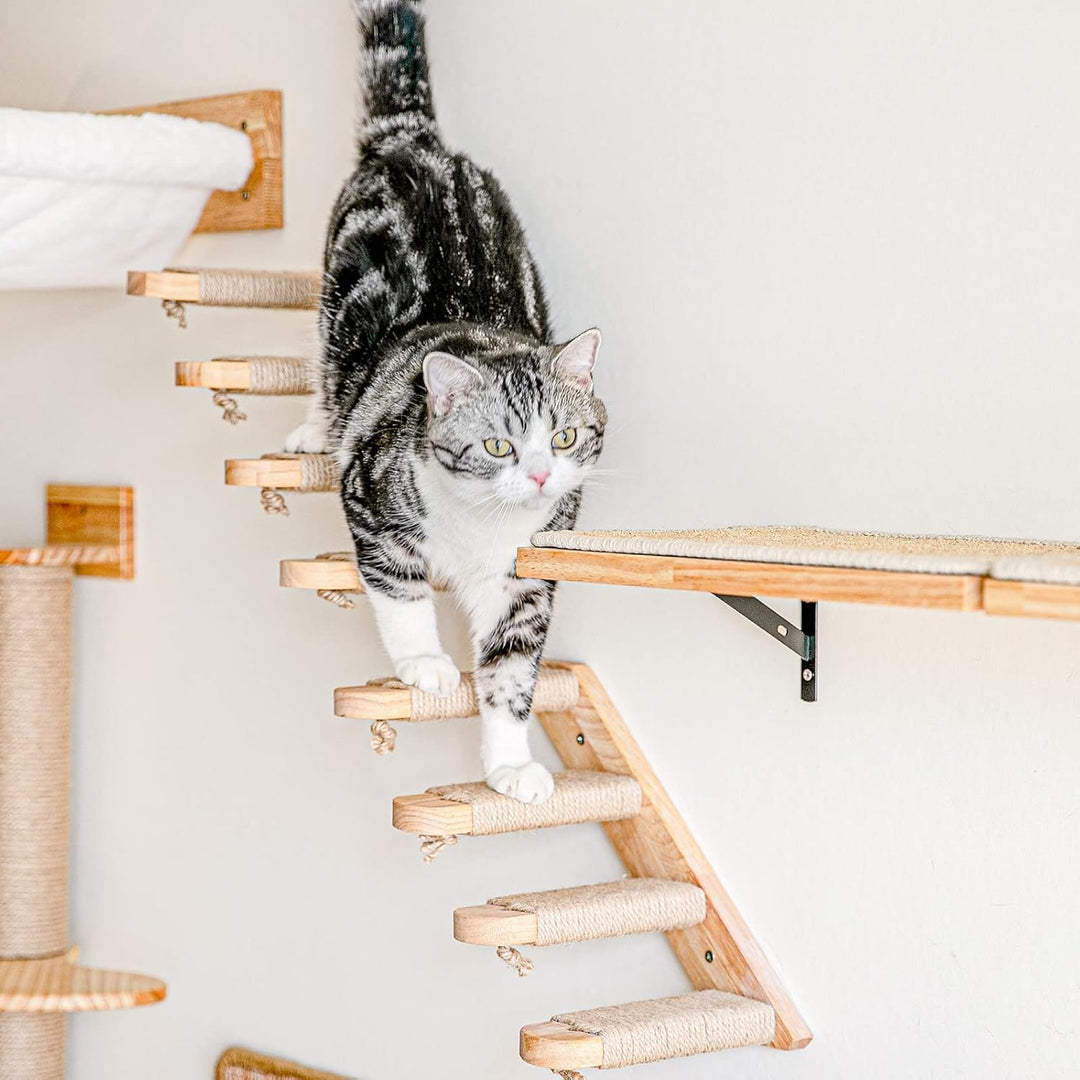 FUKUMARU Kletterwand Katzen, Katzentreppe Wand, Wandliege Katzen, aus Massives Gummiholz, für Katzen