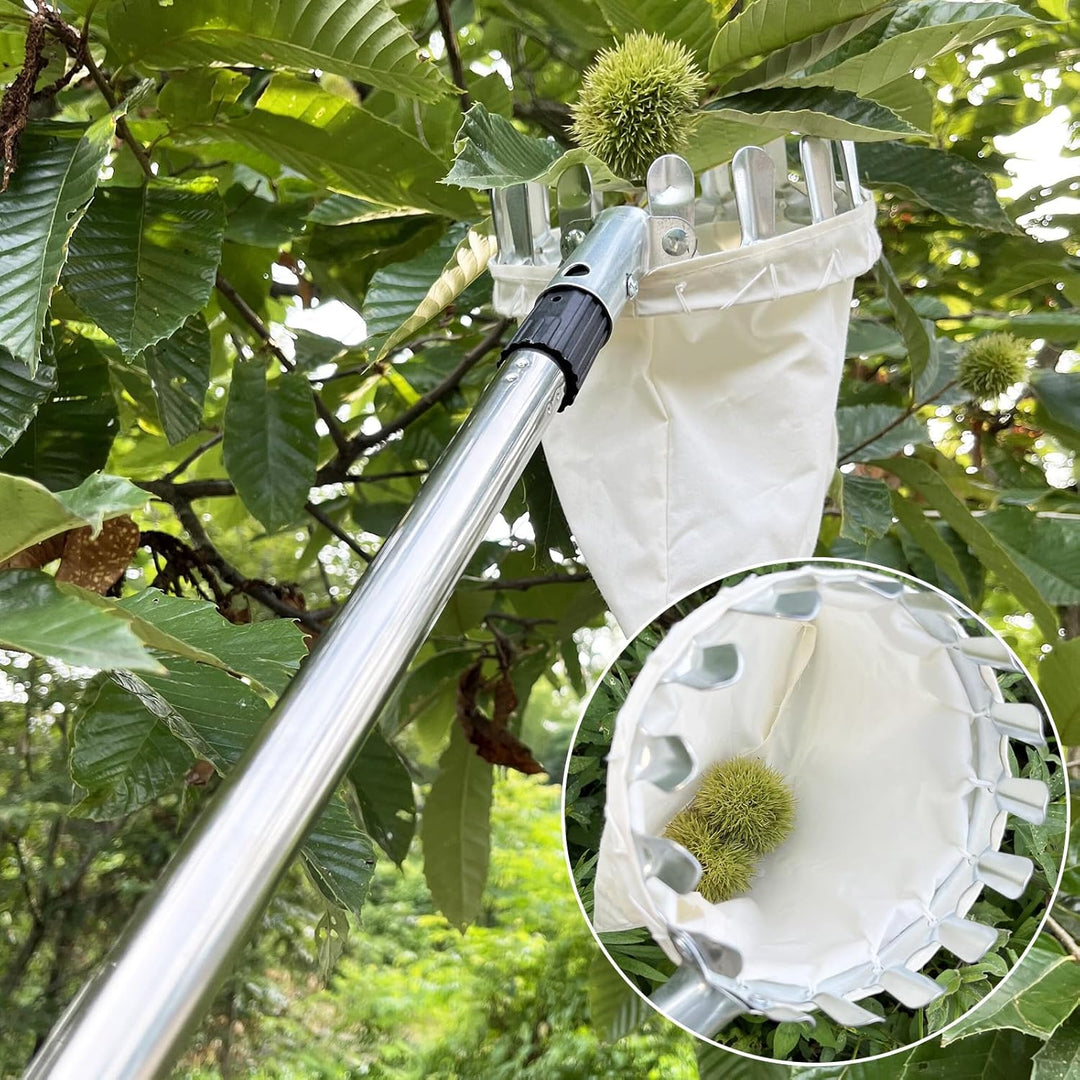 4,2M Obstpflücker mit Teleskopstiel, Apfelpflücker, Kirschenpflücker mit Leichter Edelstahl Teleskop