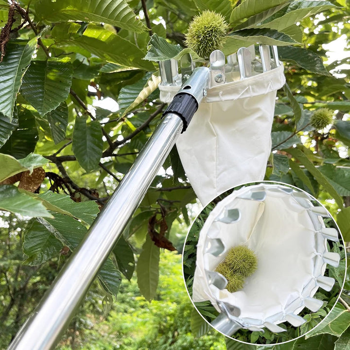 4,2M Obstpflücker mit Teleskopstiel, Apfelpflücker, Kirschenpflücker mit Leichter Edelstahl Teleskop
