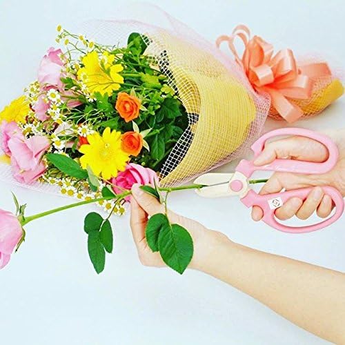Sakagen Hand Creation Old Manners Type Pink F-170 (japan import)