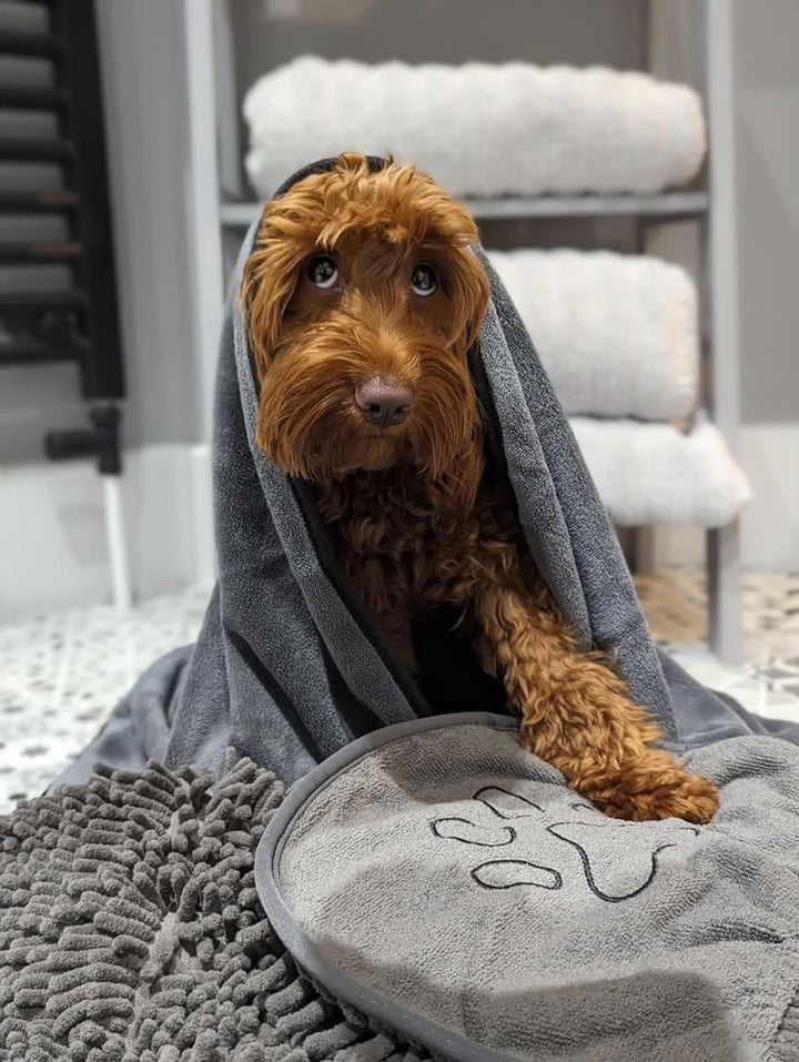 pet wiz Mikrofaser-Handtuch für Nudeln/Chenille, super saugfähig, schnell trocknend, leicht, mit pra