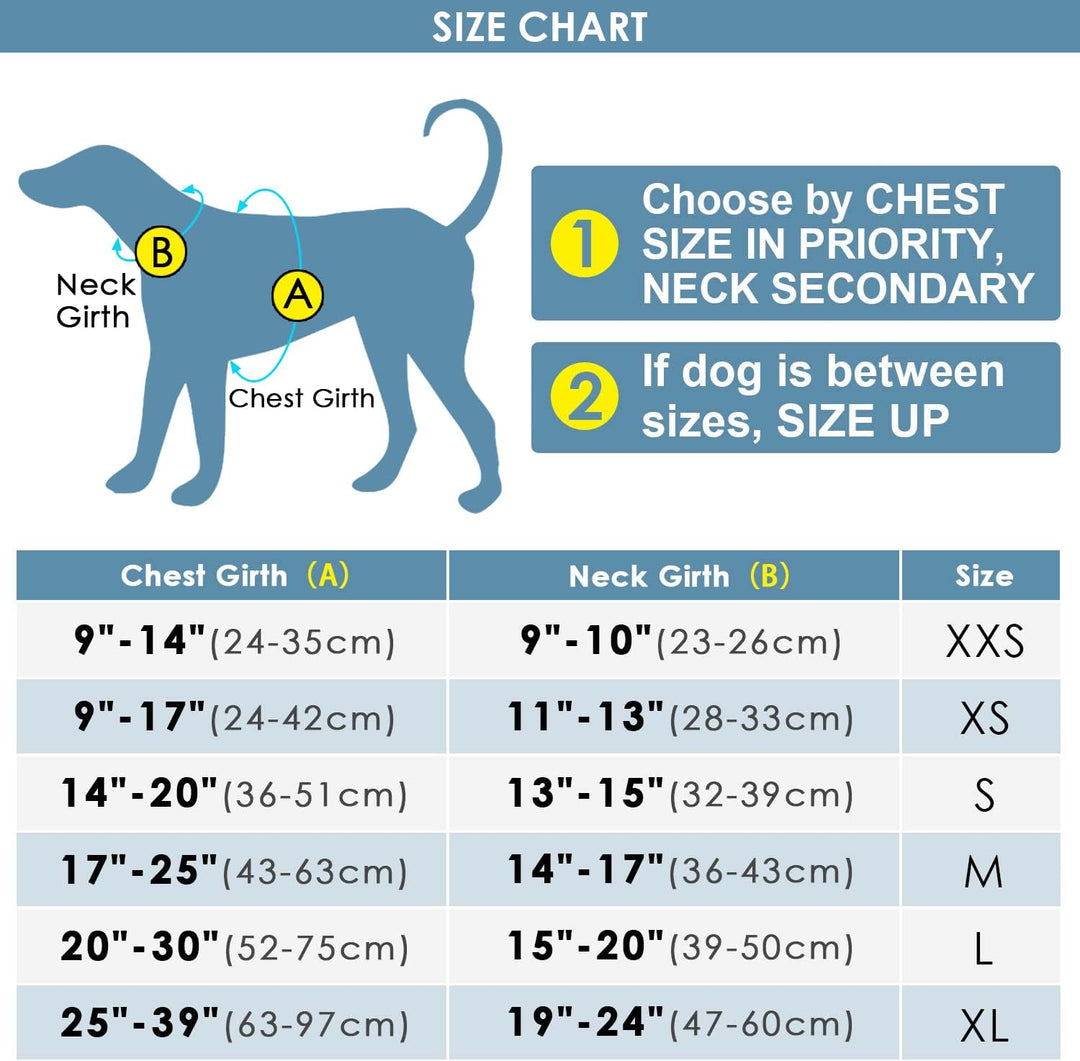 ThinkPet No-Pull Hundegeschirr Leine Set, Atmungsaktiv Brustgeschirr für Kleine Mittlere Grosse Hund
