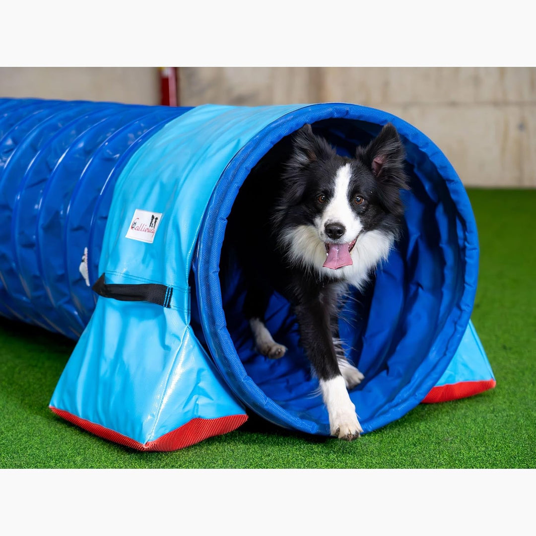 Callieway® Dog Agility Tunnel Turnier 60cmØ, 360° FullGrip (6m, blau/Blue) 6m blau/blue, 6m blau/blu