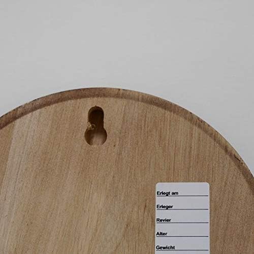 10 Stück Keilerschild Keilerbrett Gewaffbrett Trophäenschild rund dunkel AF 19 cm