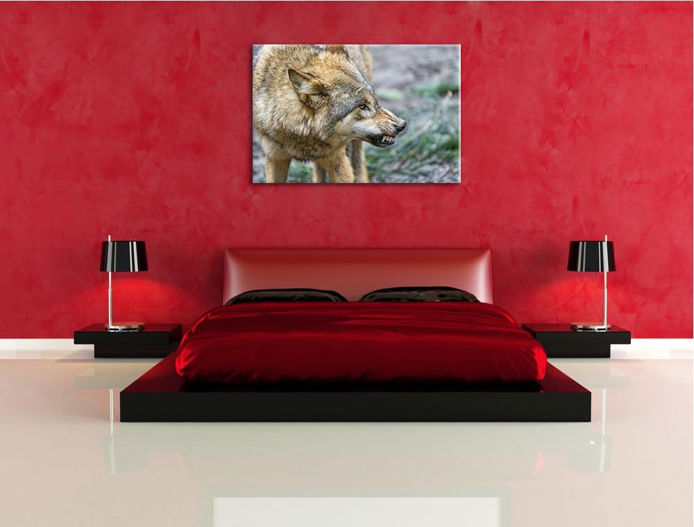 Pixxprint knurrender Wolf auf Leinwand, XXL riesige Bilder fertig gerahmt mit Keilrahmen, Kunstdruck