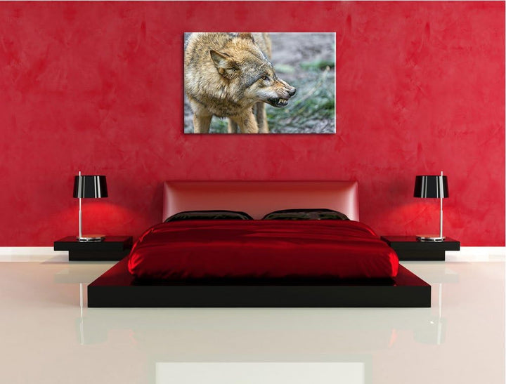 Pixxprint knurrender Wolf auf Leinwand, XXL riesige Bilder fertig gerahmt mit Keilrahmen, Kunstdruck