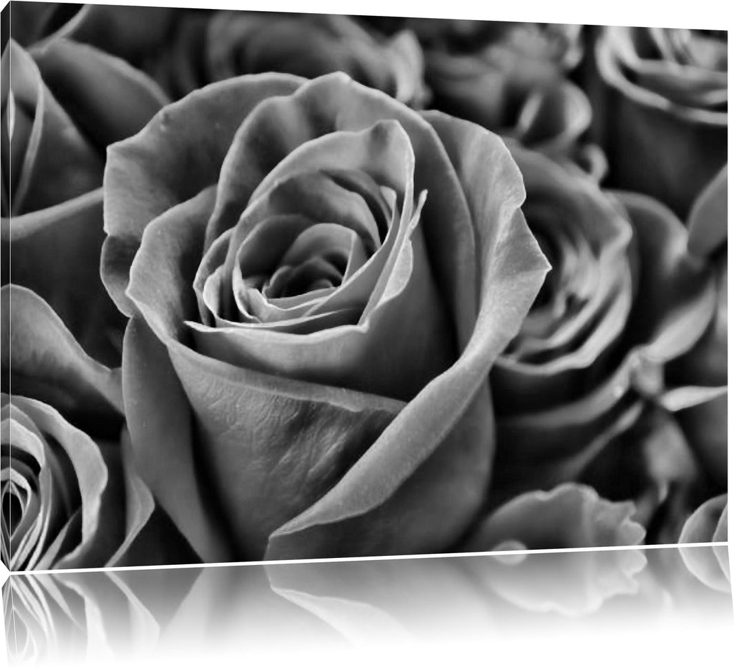 Pixxprint Romantische Rosen / 100x70cm Leinwandbild bespannt auf Holzrahmen/Wandbild Kunstdruck Deko