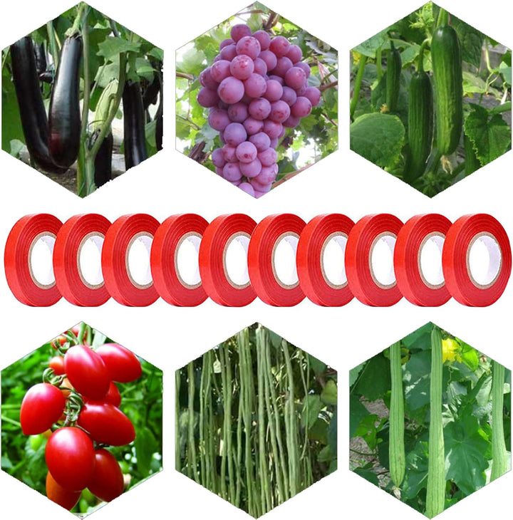 Cayway 21 Pack Bindemaschine Pflanzen, Bandzange Tape Tool Beinhaltet 20 Stück Baumschulbänder, 1 Ka