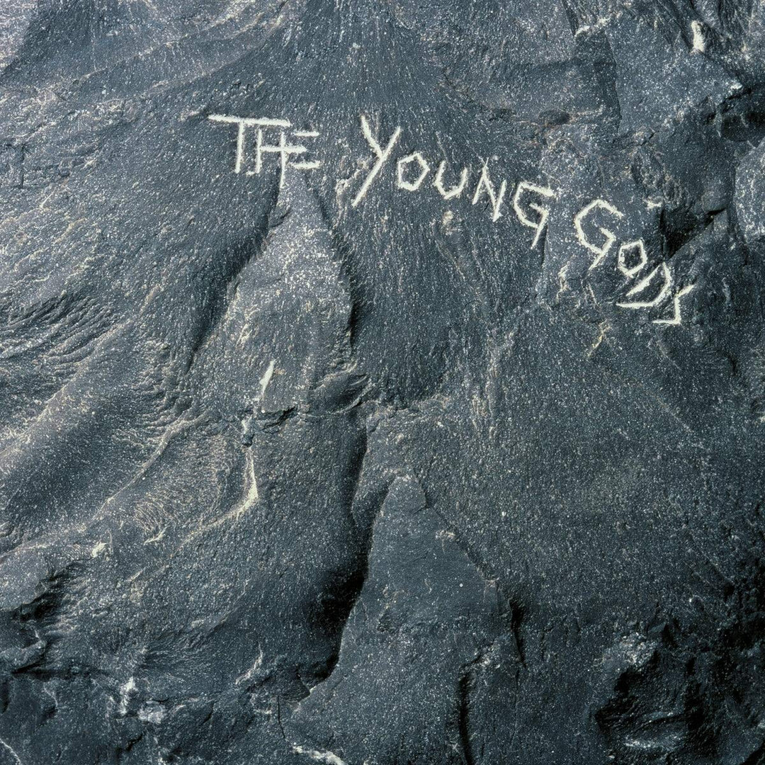 The Young Gods, Vinyl