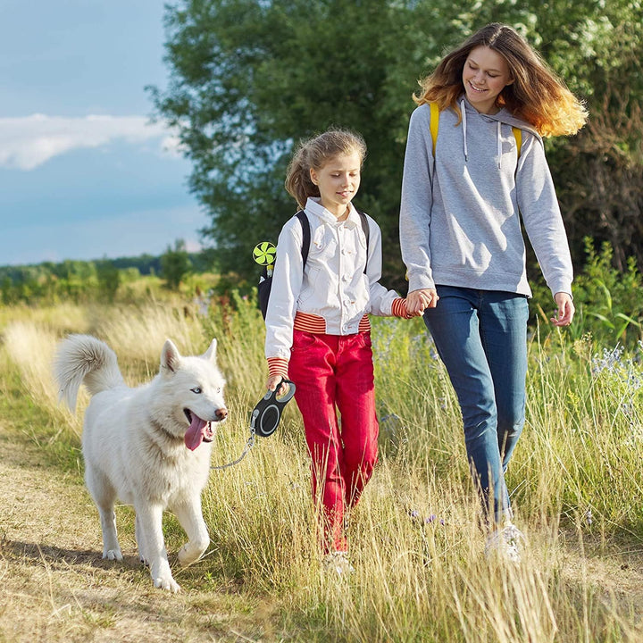Ausziehbare Leine, 8 m, Nylon, mit kaufester Kette, strapazierfähig für mittelgrosse und grosse Hund