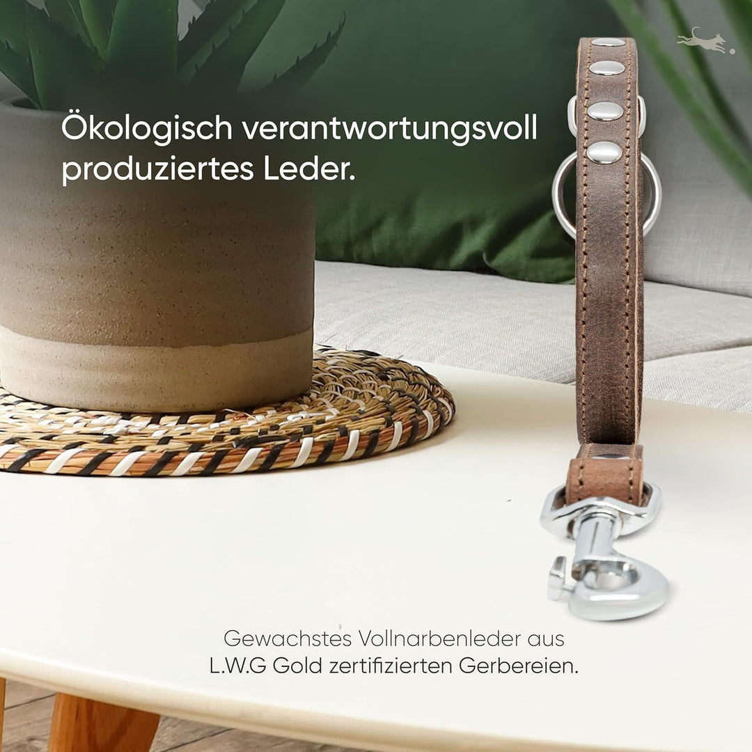 FREUDENTIER® Hundeleine aus zertifiziertem Leder 2m, 3-Fach verstellbare Führleine, liebevoll in Hol