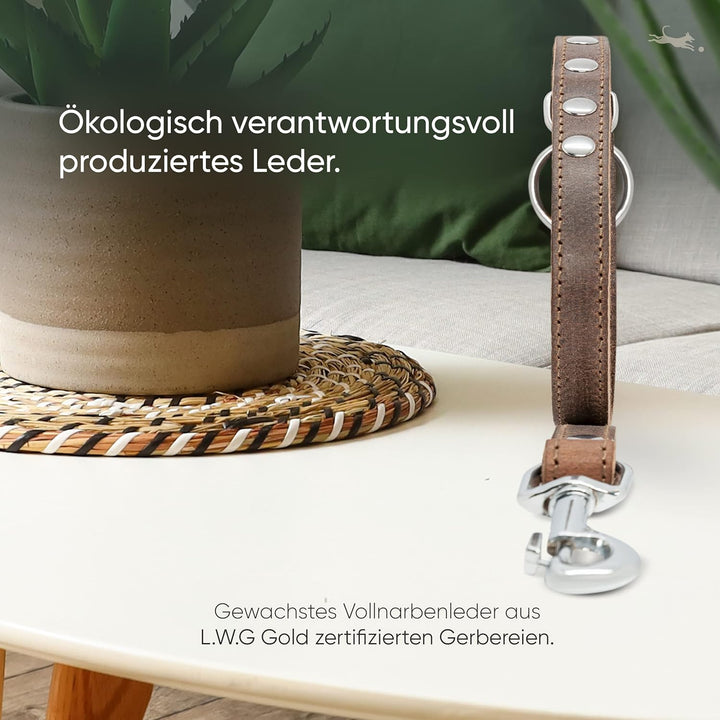 FREUDENTIER® Hundeleine aus zertifiziertem Leder 2m, 3-Fach verstellbare Führleine, liebevoll in Hol