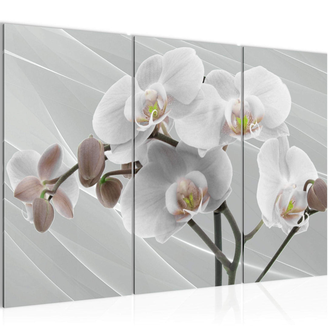Runa Art Wandbilder Blumen Orchidee Bild XXL Wohnzimmer Schlafzimmer Grau Rosa Abstrakt 120 x 80 cm