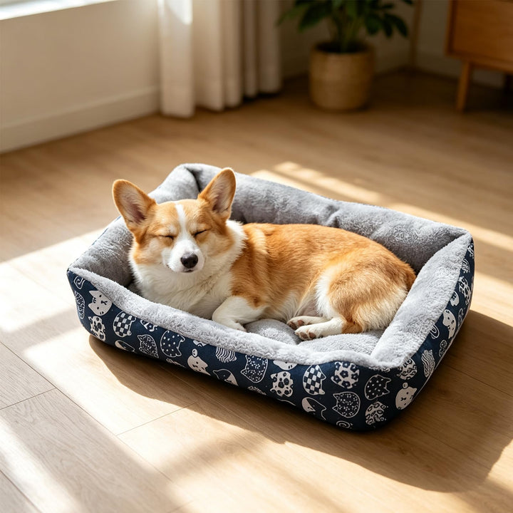 PETCUTE Haustierbett Hundesofa,Waschmaschinenfest Orthopädisches Hundebett für Kleine Hunde,Rutschfe