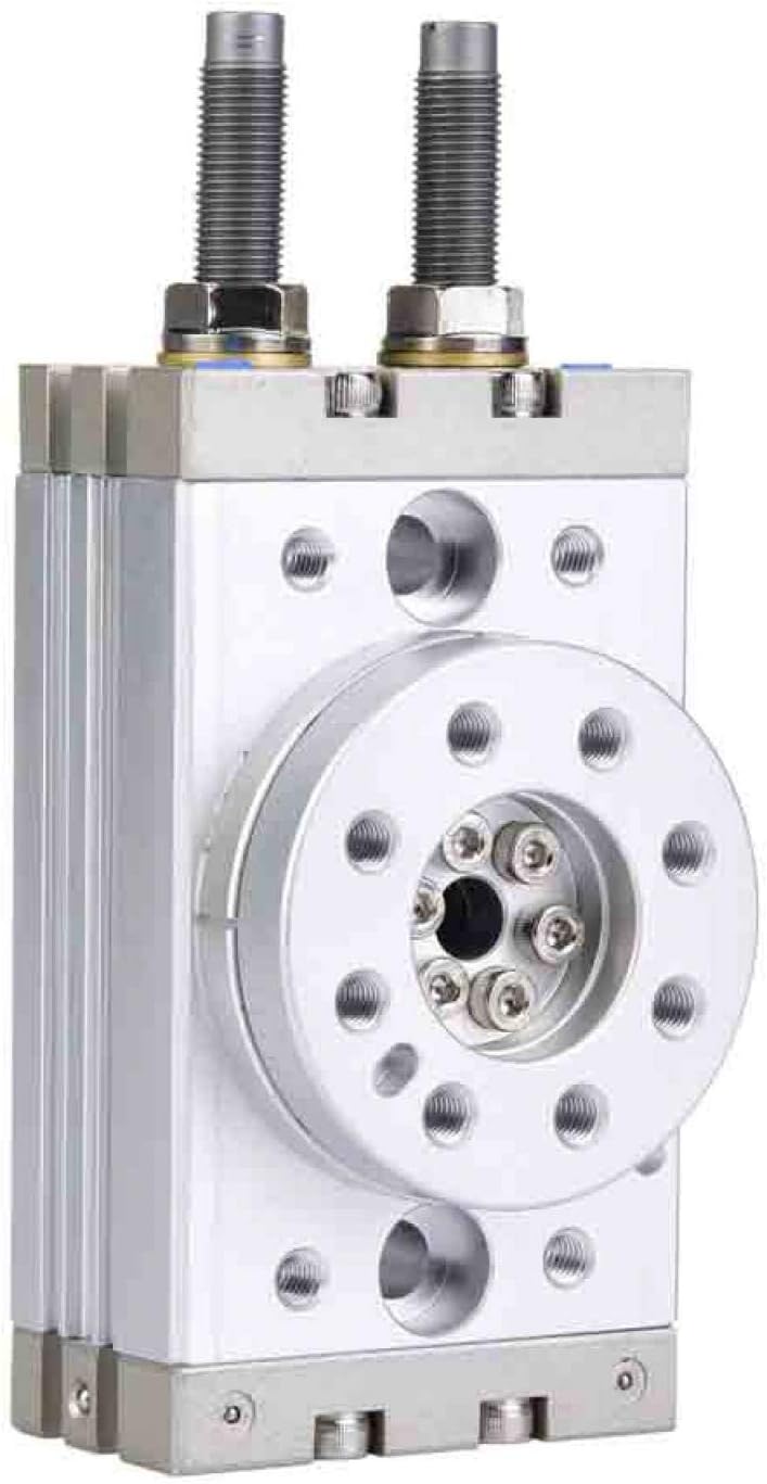 180 Grad Drehbarer Pneumatischer Luftzylinder MSQB-20R mit Puffer-Präzisions-Pneumatikzylinder 0.1-1