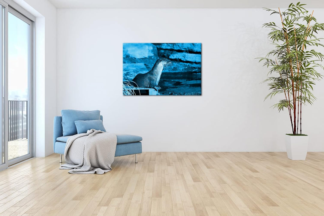 deyoli niedlicher kleiner Otter Format 80x60 Effekt: Monocrome Blau als Leinwandbild, Motiv fertig g