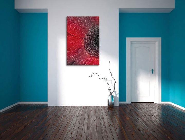 Pixxprint Rote Gerbera mit Wassertropfen als Leinwandbild/Grösse: 120x80 cm/Wandbild/Kunstdruck/fert