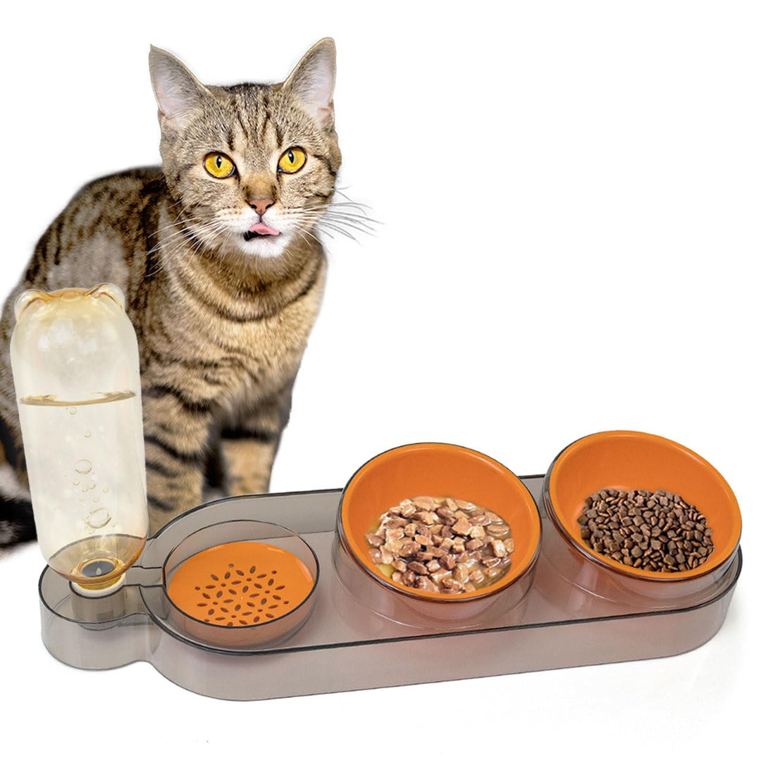 Katzen Futternapf Dinner Station, Futterbar mit 2 Näpfen und Wasserspender für Katzen und kleine Hun