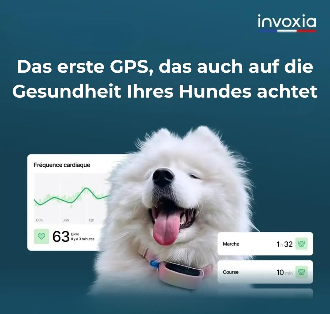 Invoxia Minitailz - Gesundheits- und GPS-Tracker für Hunde 