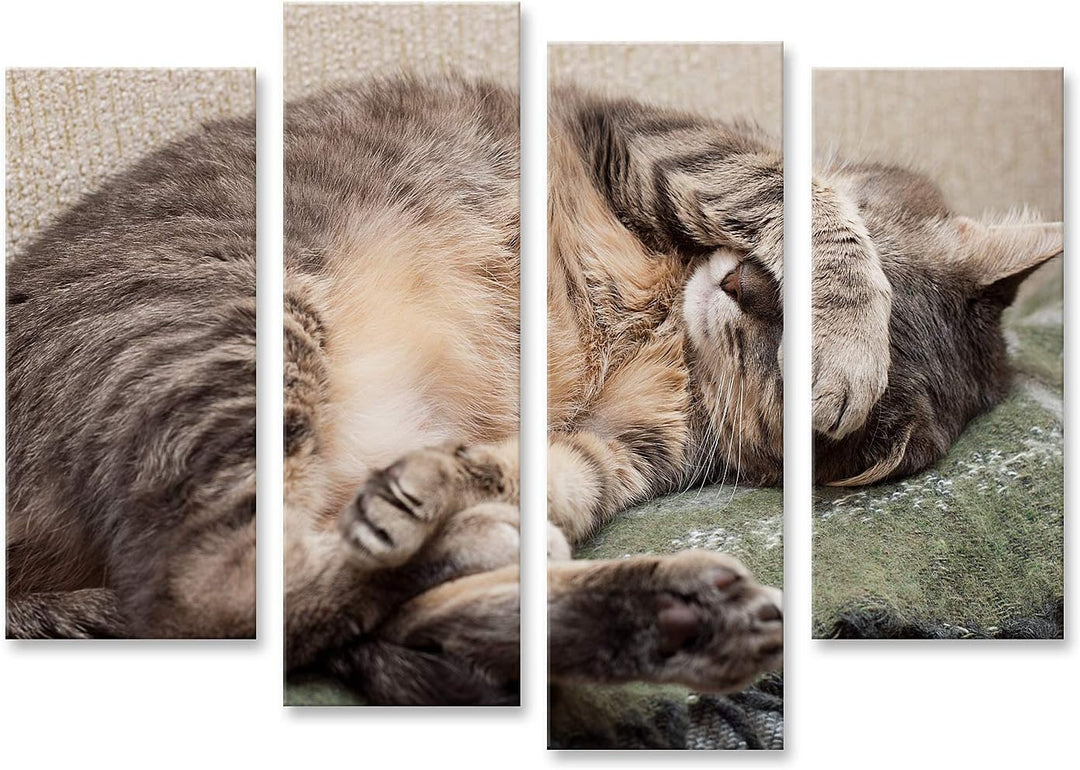 islandburner Bild auf Leinwand Schlafende Katze Bilder Wandbilder Poster, Leinwand 130x80cm - 4 Teil