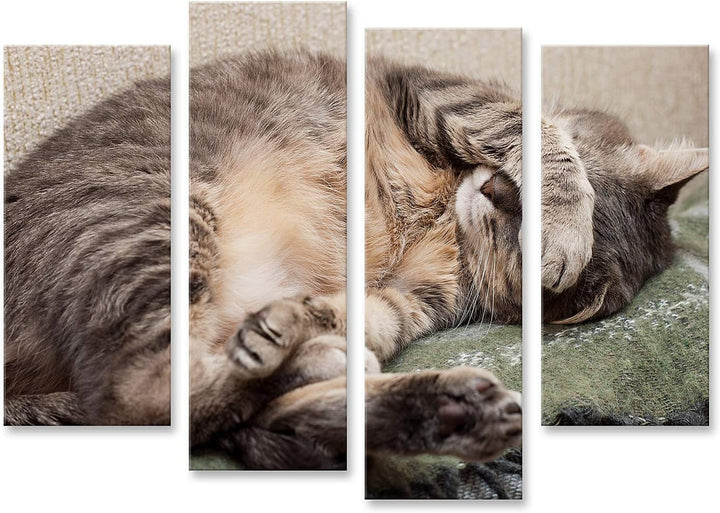 islandburner Bild auf Leinwand Schlafende Katze Bilder Wandbilder Poster, Leinwand 130x80cm - 4 Teil