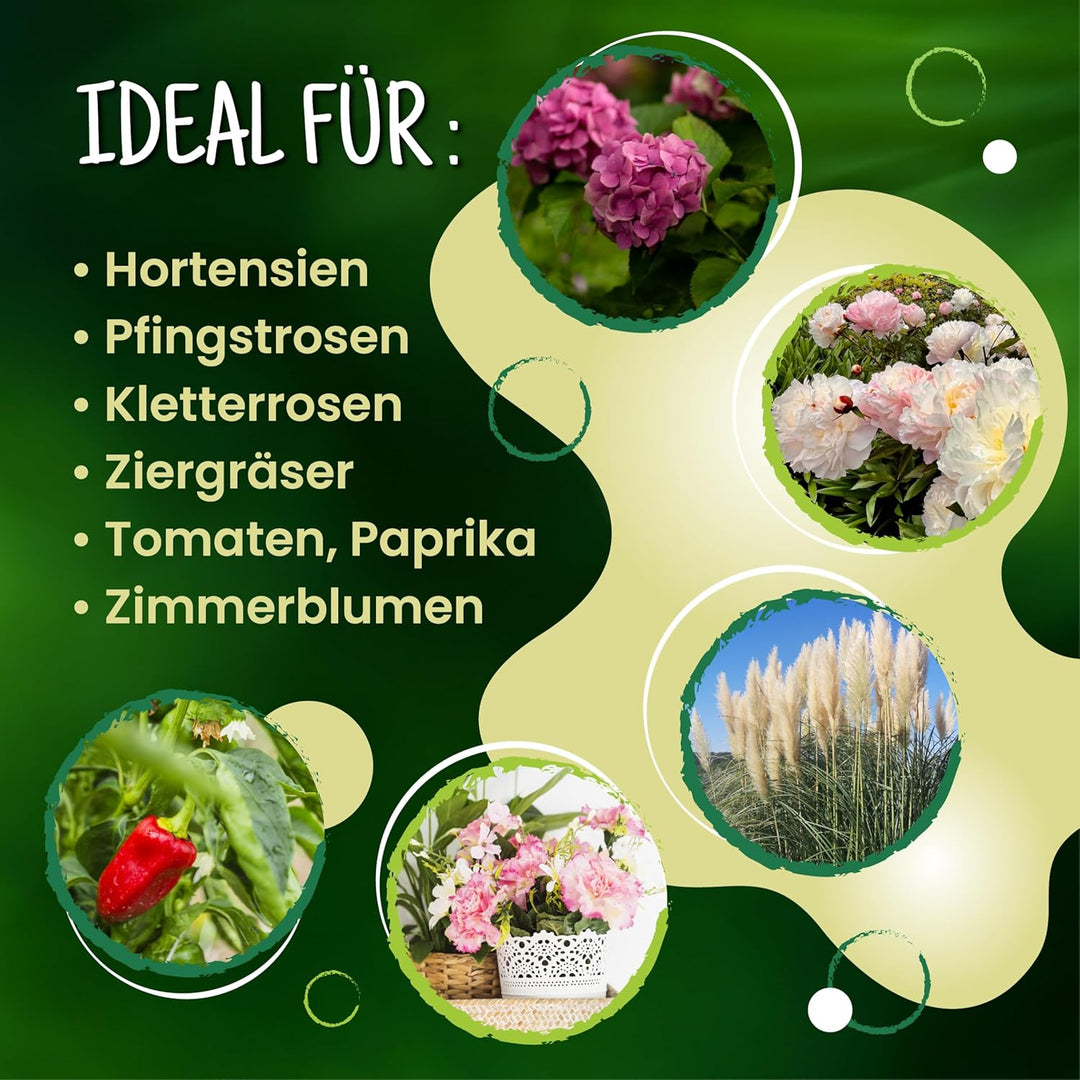 ARPON Staudenhalter rund 10 Stück – Einstellbare Blumenstütze & Pflanzenstütze Ø 21,5 cm – Ideal als