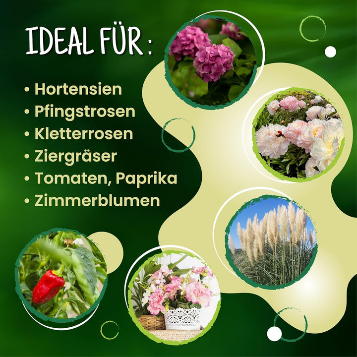 ARPON Staudenhalter rund 10 Stück – Einstellbare Blumenstütze & Pflanzenstütze Ø 21,5 cm – Ideal als