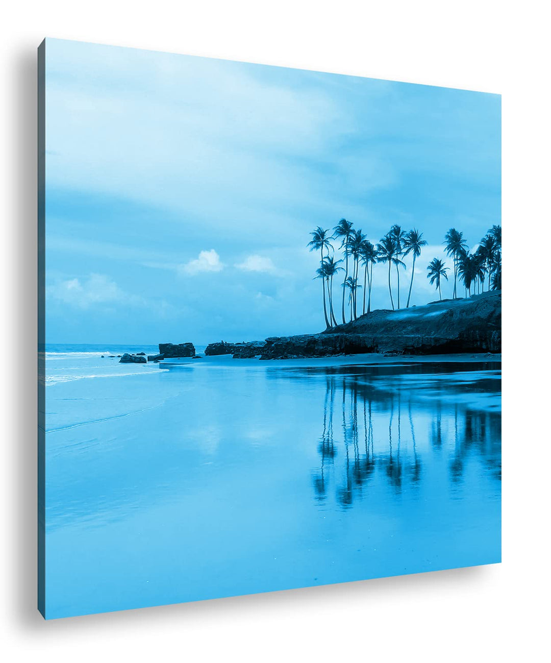 deyoli Palmenstrand in Brasilien Format: 70x70 Effekt: Monocrome Blau als Leinwand, Motiv fertig ger