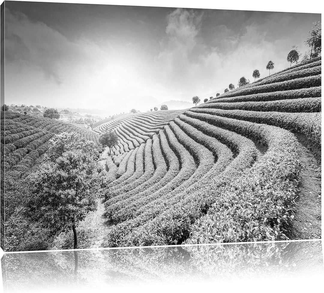 Pixxprint Japanische Treppenfelder Kunst B&W / 100x70cm Leinwandbild bespannt auf Holzrahmen/Wandbil