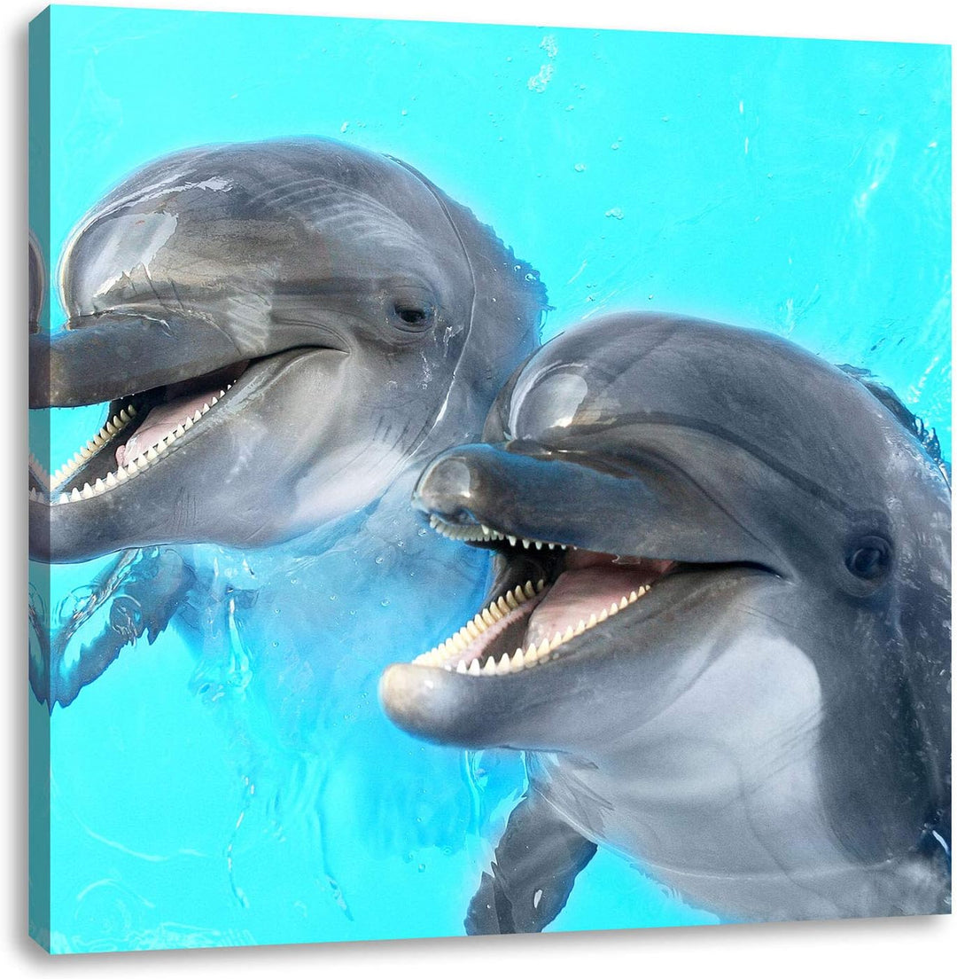 Pixxprint Delfinpaar, Format: 70x70 auf Leinwand, XXL riesige Bilder fertig gerahmt mit Keilrahmen,