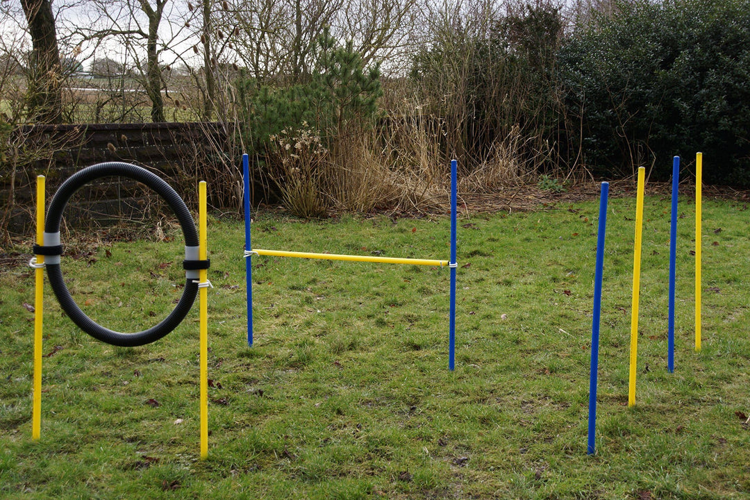 Agility-Beginner-Set BLAU/GELB