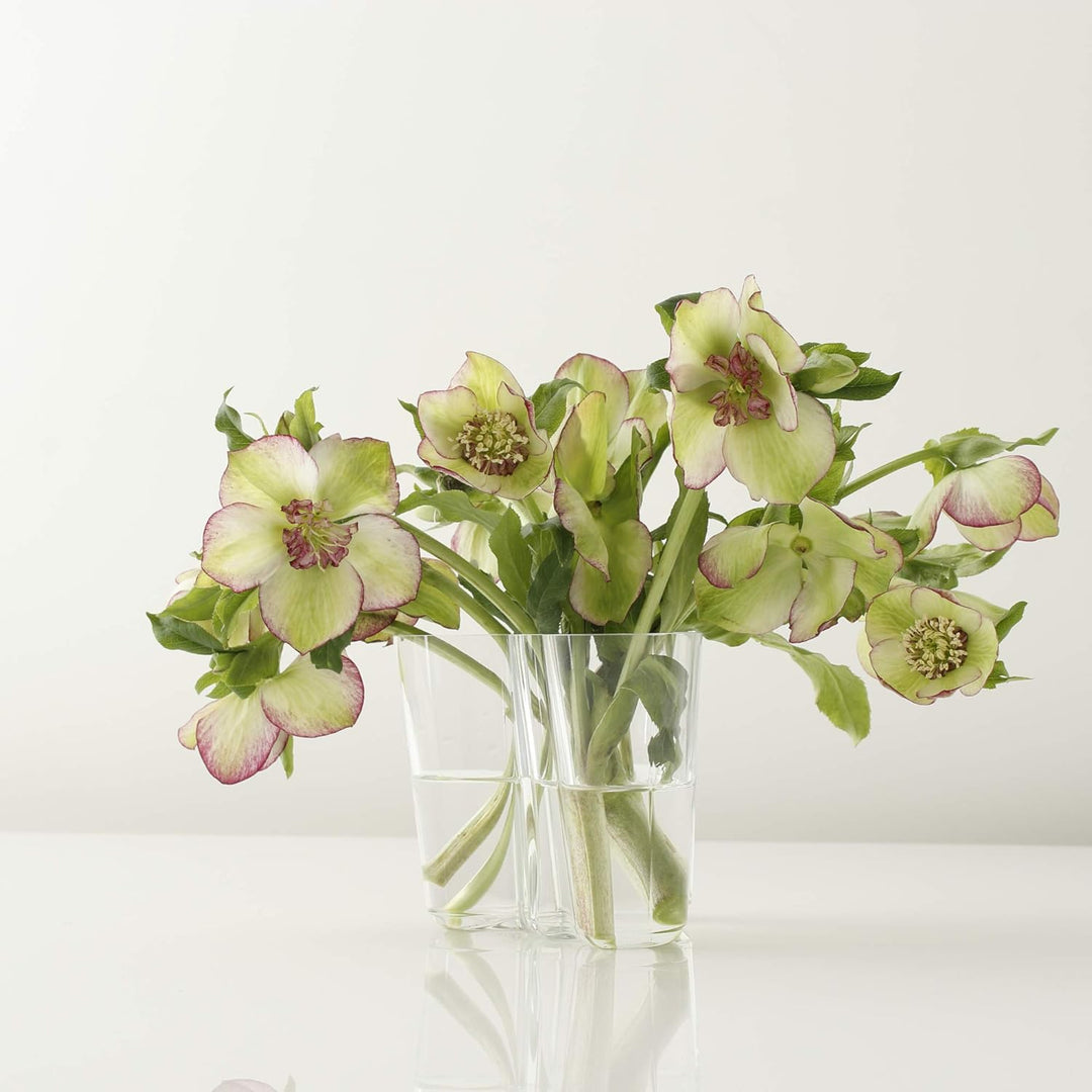 Iittala Vase Aalto 160 mm Klar aus Glas, 160 mm