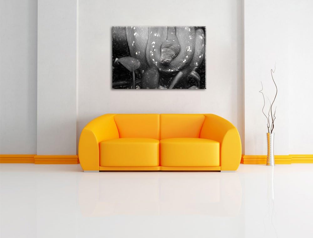 Pixxprint grüne Schlange / 100x70cm Leinwandbild bespannt auf Holzrahmen/Wandbild Kunstdruck Dekorat