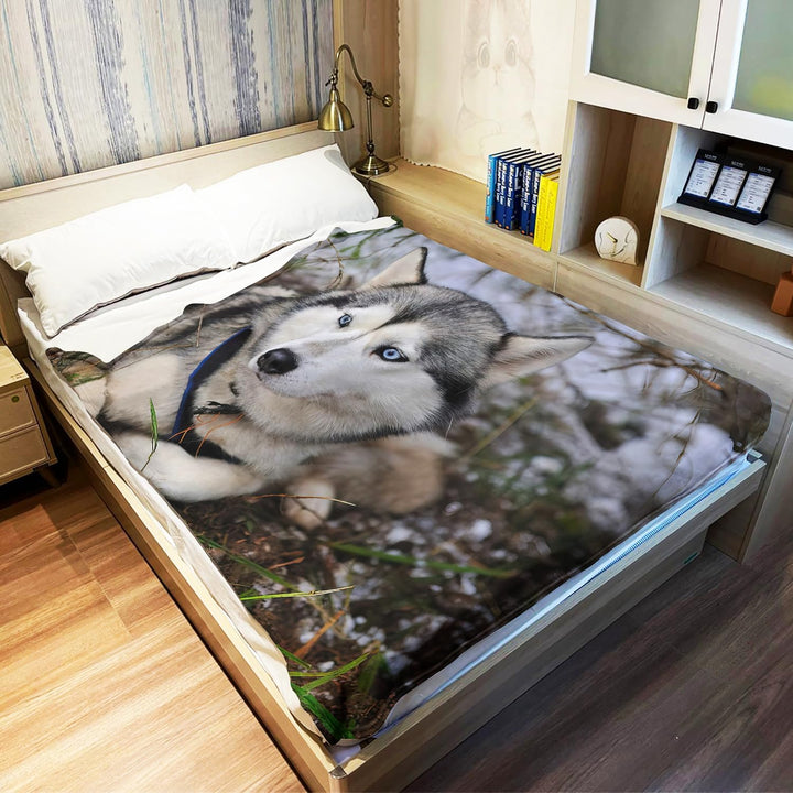 YISUMEI Decke 100x150 cm Kuscheldecken Sanft Flanell Weich Fleecedecke Bettüberwurf Sibirischer Husk