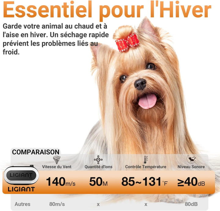P40 Hundefön Blower, Ultra-Leise (40 dB Katzen-Modus), 3-in-1 Düsen, Einstellbare Geschwindigkeit &