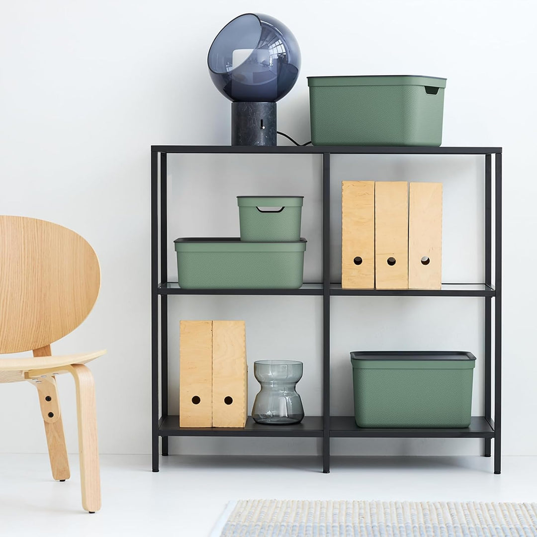 Rotho Jive 3er-Set Aufbewahrungsbox 10l mit Deckel Grün, Grün
