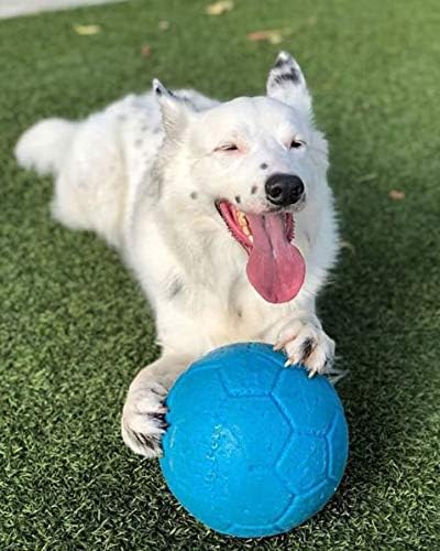 Jolly Pets,Hund - Fussball - Meerblau - 20 cm - 1 Stück, Multi, Large/X-Large, SB08 Ocean Large / X