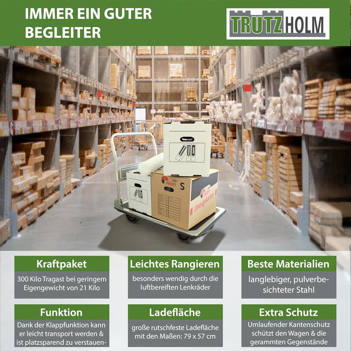 Plattformwagen 300 kg luftbereift Transportwagen Handwagen Paketwagen Transporthilfe mit Lenkrollen