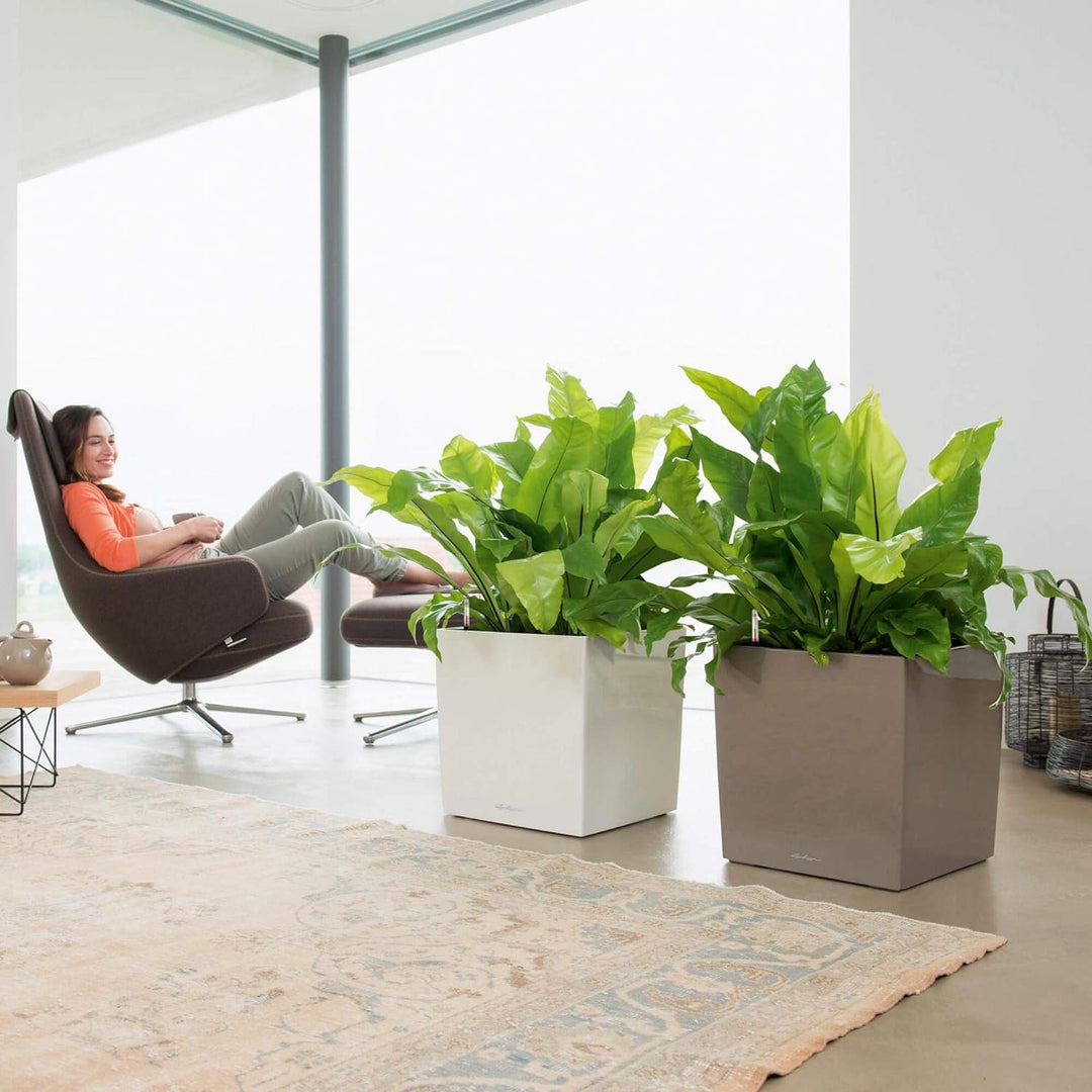 LECHUZA CUBE Premium 40 taupe hochglanz 16365 39x39x40 cm Taupe Hochglanz, 39x39x40 cm Taupe Hochgla