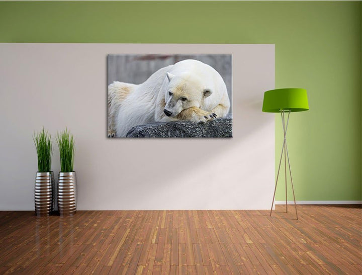 Pixxprint schlafender Eisbär auf Leinwand, XXL riesige Bilder fertig gerahmt mit Keilrahmen, Kunstdr