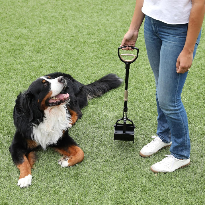 Petmate Arm & Hammer Pet Pooper Scooper Abfall-Management-System für Hundekot Krallenschaufel, Krall